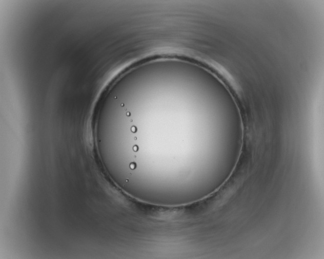 X0000115310887200911091135