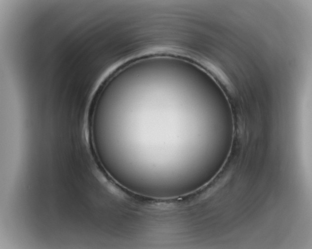 X0000115310888200911091135