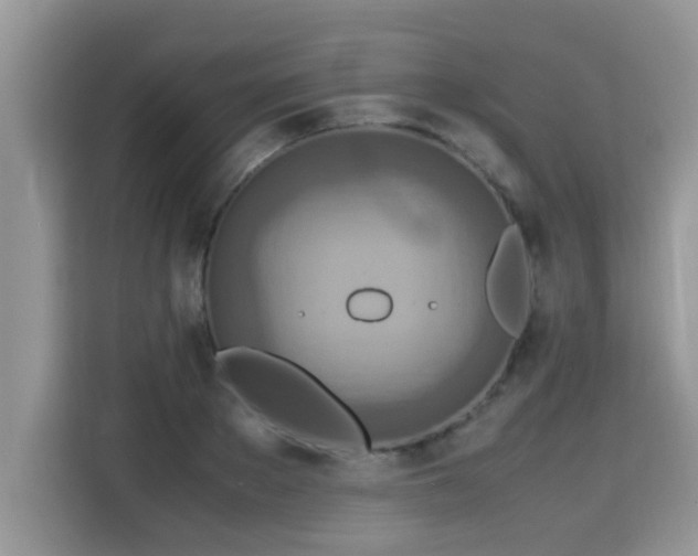 X0000115310889200911091135