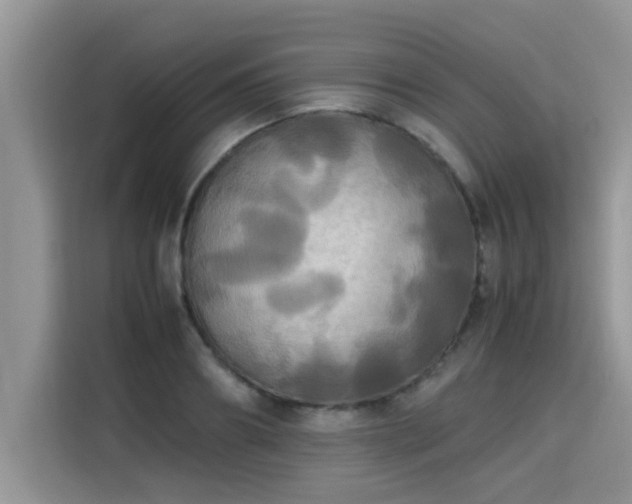 X0000115310890200911091134