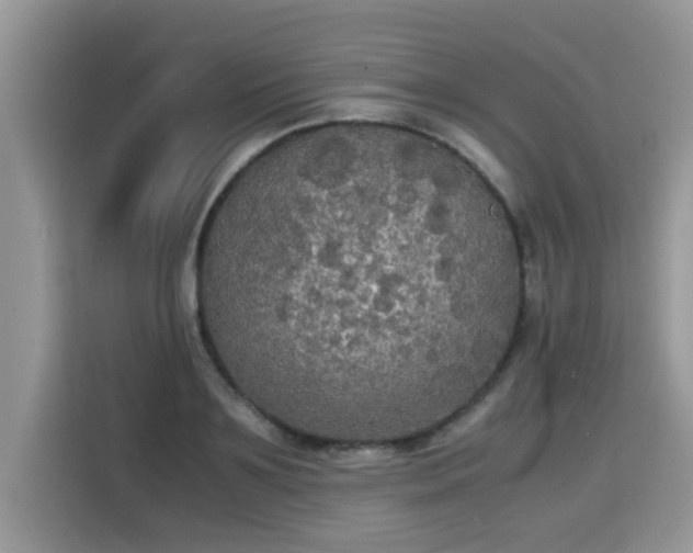 X0000115310891200911091134