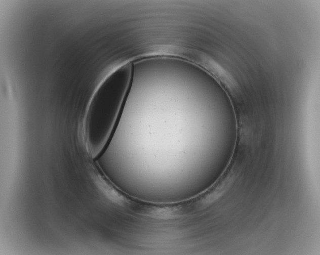 X0000115310892200911091134