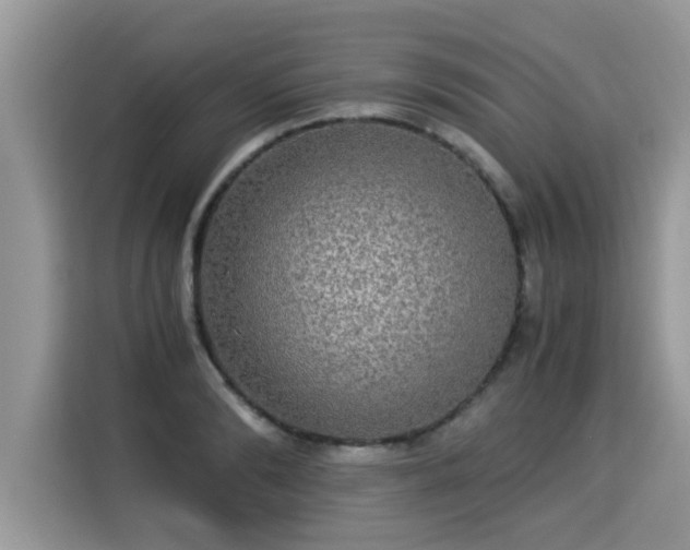 X0000115310894200911091134
