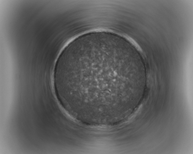 X0000115310895200911091134