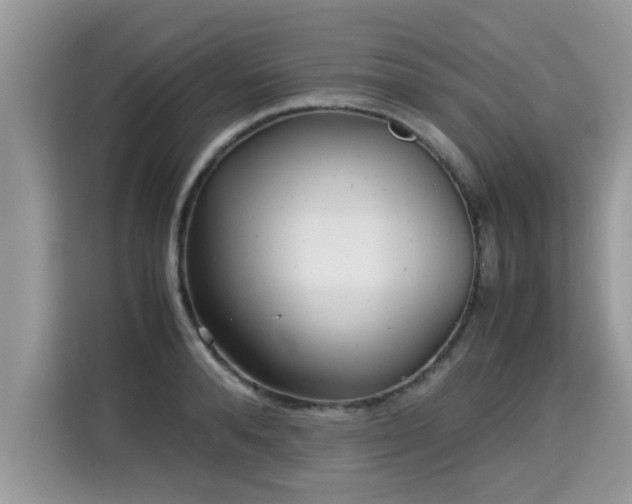 X0000115310896200911091134