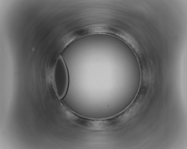 X0000115310897200911091134