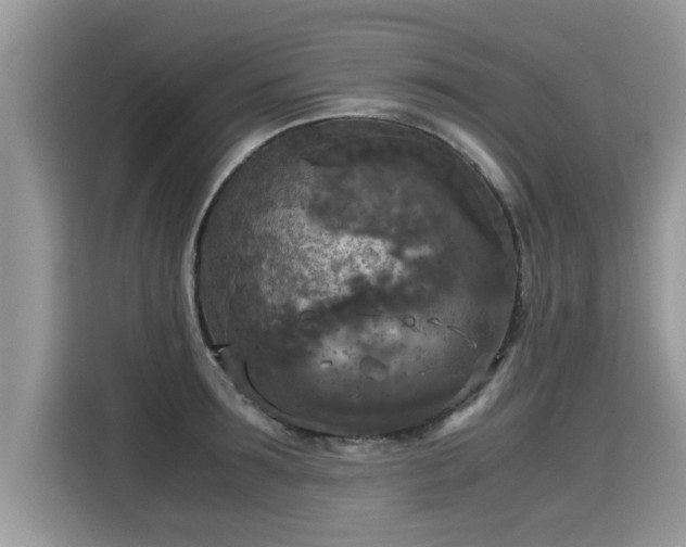 X0000115310899200911091134