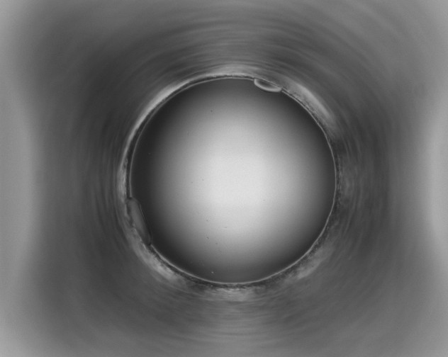 X0000115310900200911091134
