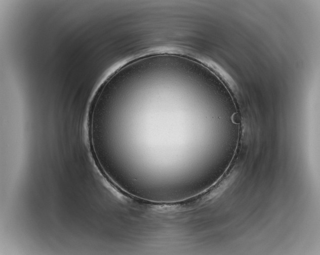 X0000115310902200911091134