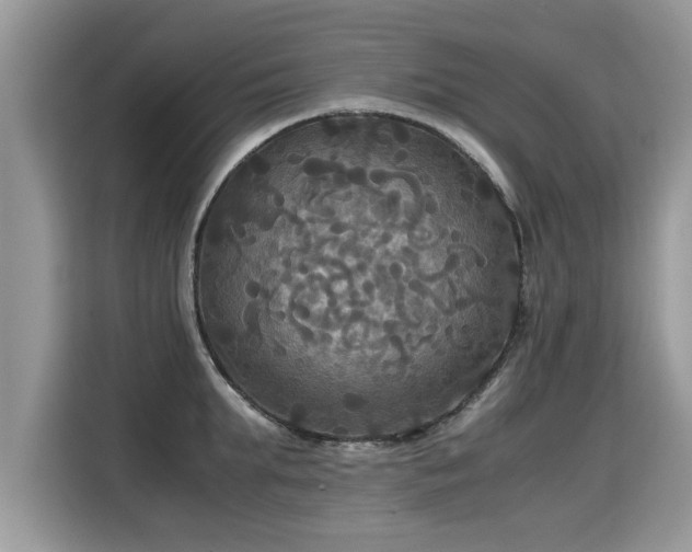 X0000115310903200911091134