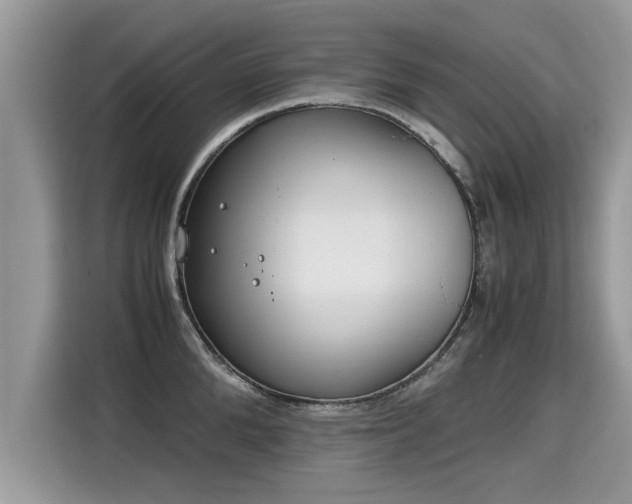 X0000115310904200911091134