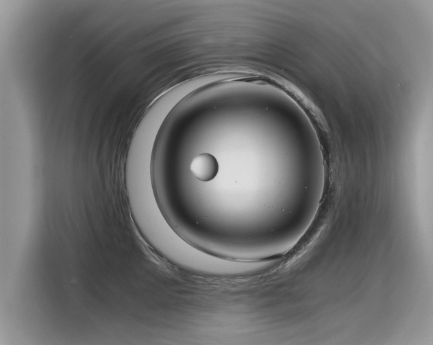 X0000115310905200911091134