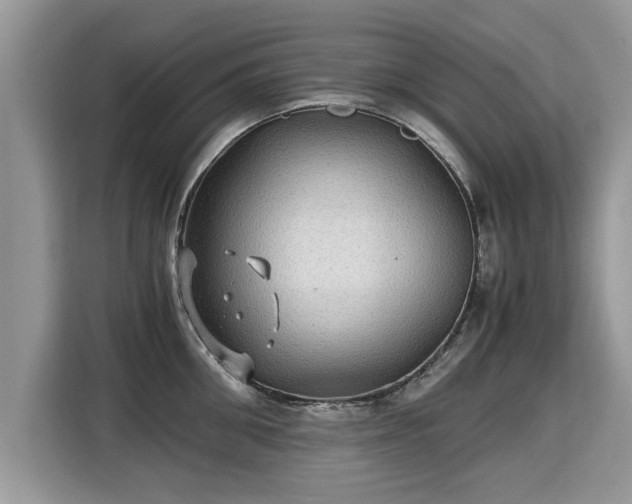 X0000115310906200911091134