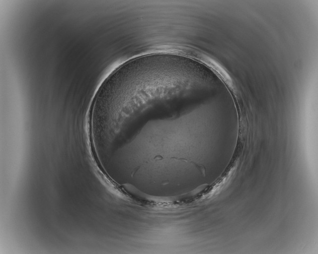 X0000115310907200911091134