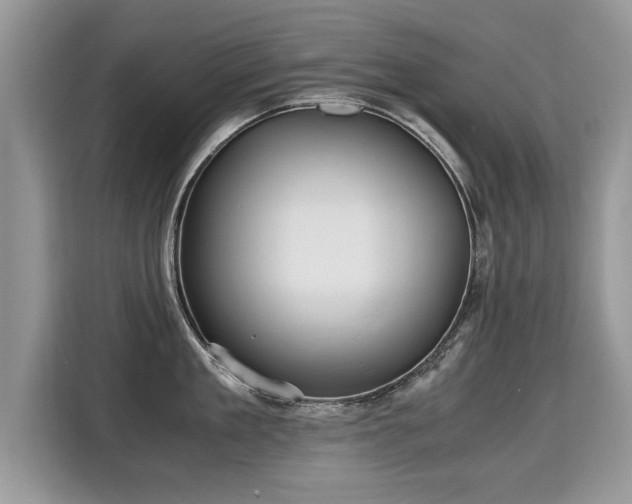 X0000115310909200911091134