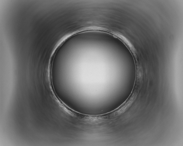 X0000115310910200911091134