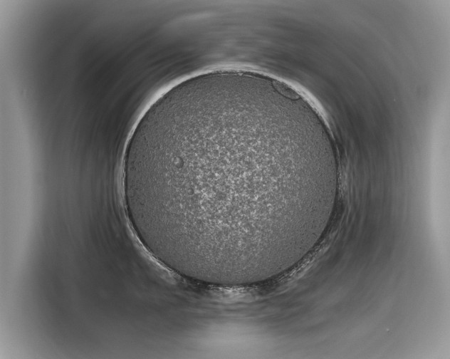 X0000115310911200911091134