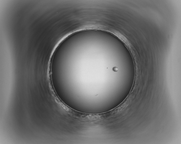 X0000115310912200911091134