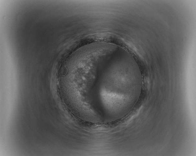 X0000115310913200911091134