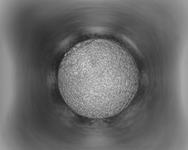 X0000115310918200911091134