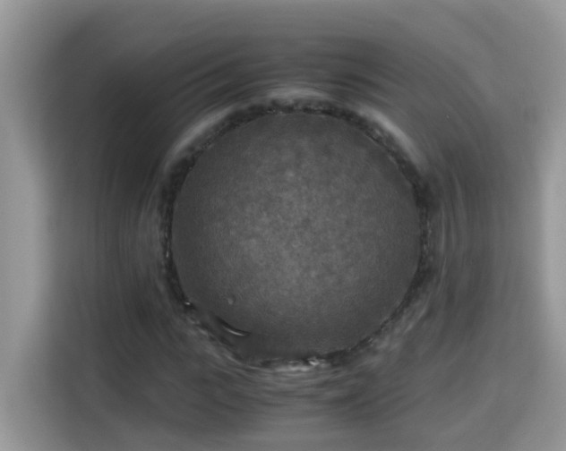 X0000115310919200911091134