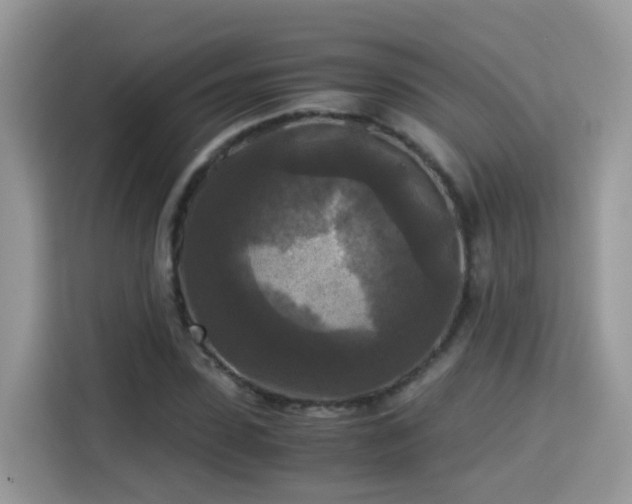 X0000115310923200911091134