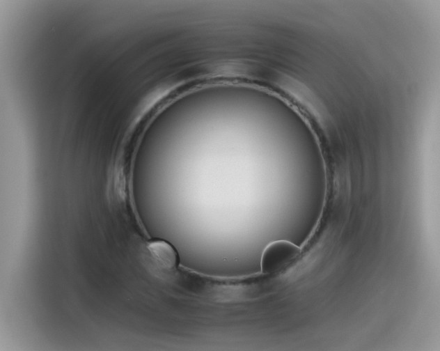 X0000115310925200911091134