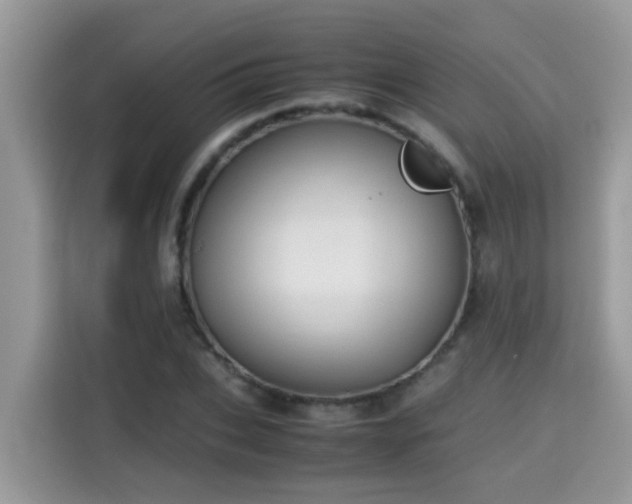 X0000115310927200911091134