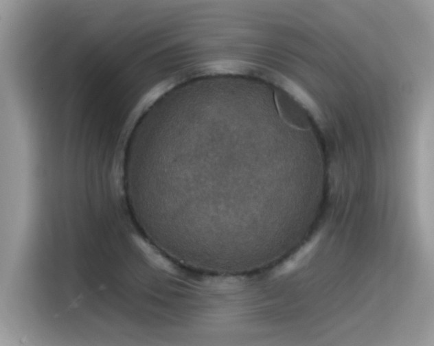 X0000115310930200911091134