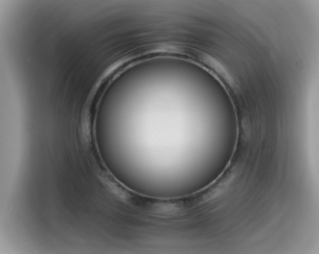 X0000115310931200911091134