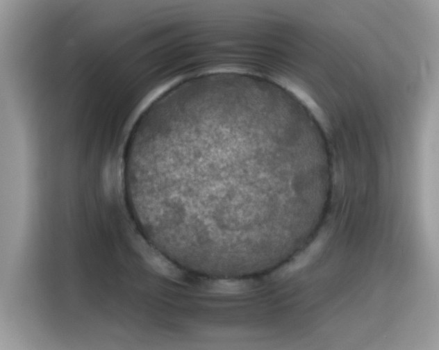 X0000115310933200911091134