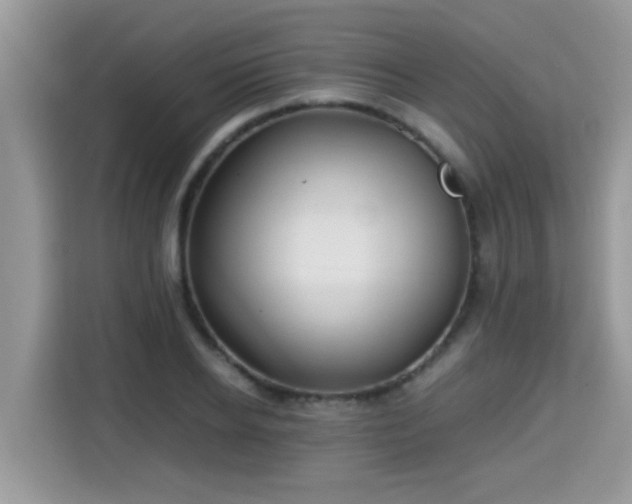 X0000115310934200911091134