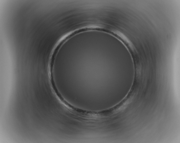 X0000115310935200911091134