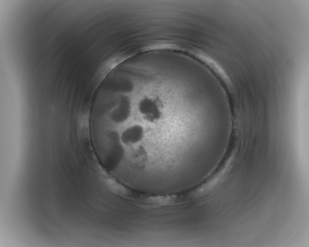 X0000115310937200911091134