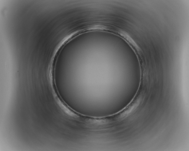 X0000115310941200911091134