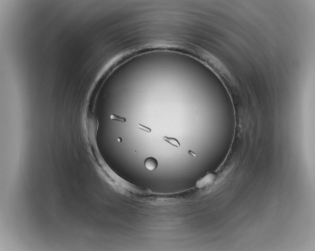 X0000115310942200911091134