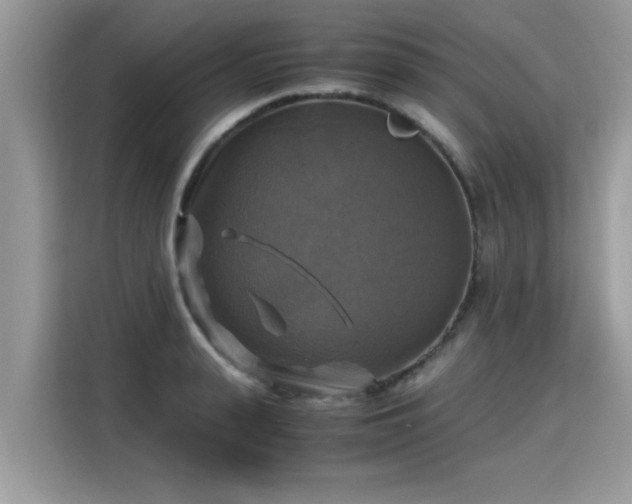 X0000115310943200911091134