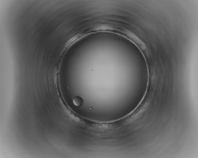 X0000115310945200911091134