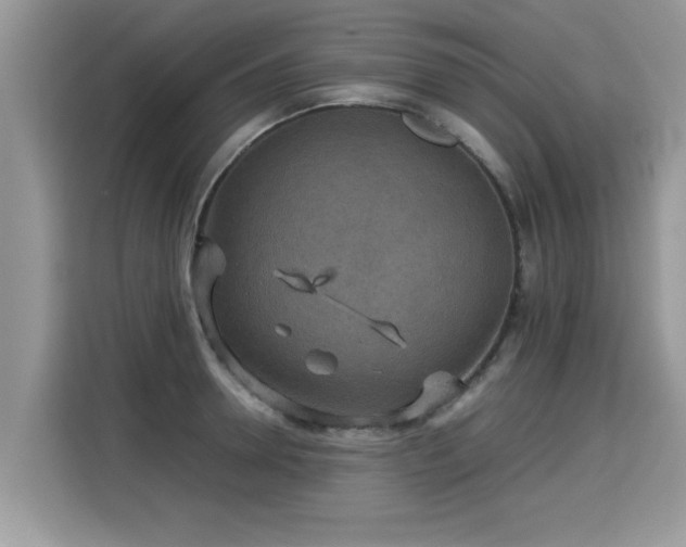 X0000115310946200911091134