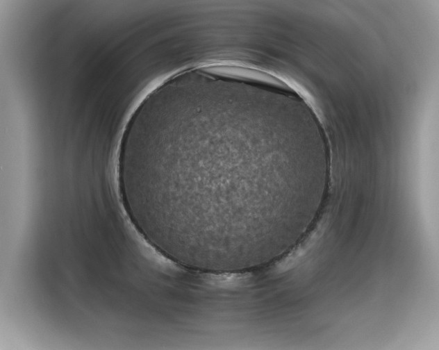 X0000115310949200911091134