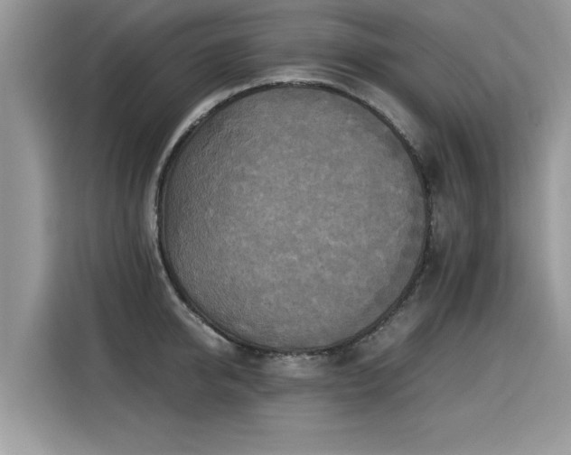 X0000115310950200911091134
