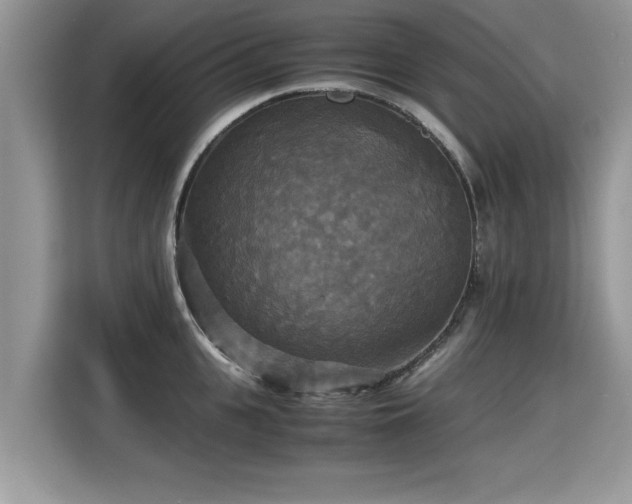X0000115310951200911091134