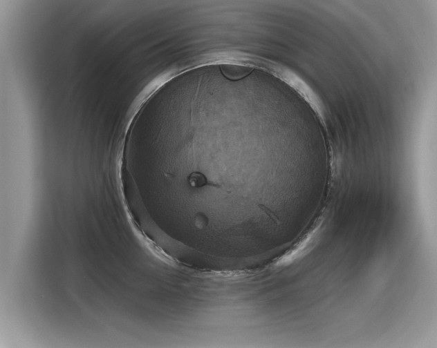 X0000115310954200911091134