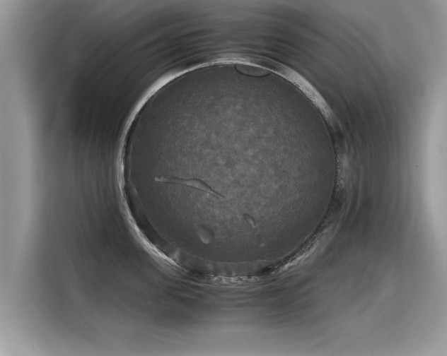 X0000115310955200911091134