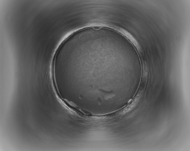 X0000115310958200911091134