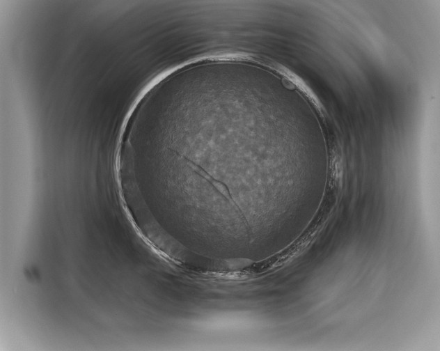 X0000115310959200911091134