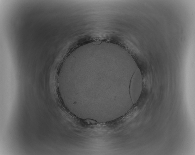 X0000115310961200911091134
