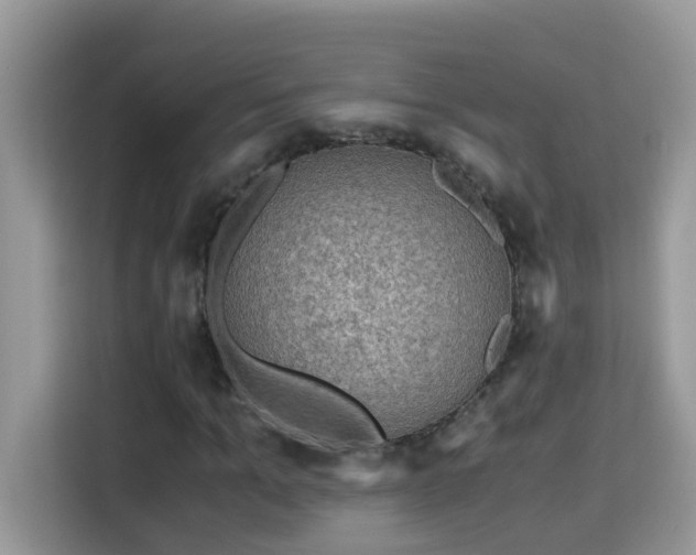X0000115310965200911091134