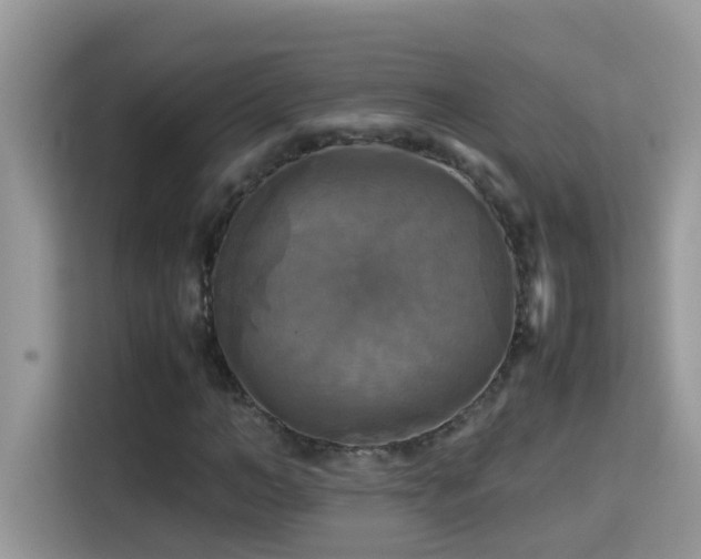 X0000115310966200911091134