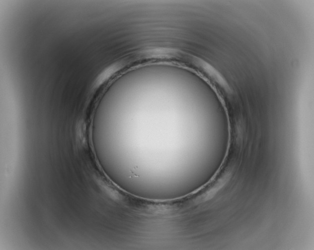 X0000115310970200911091133